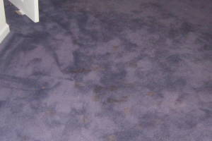 Hauling Home Carpet Removal - Hauling