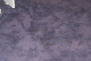 Hauling Home Carpet Removal - Hauling