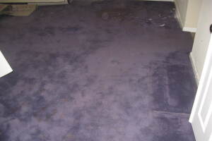 Hauling Home Carpet Removal - Hauling