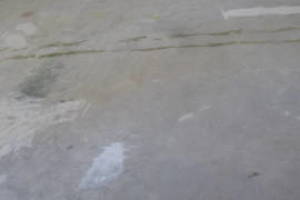 Hauling Home Carpet Removal - Hauling