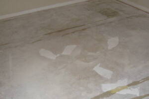 Hauling Home Carpet Removal - Hauling