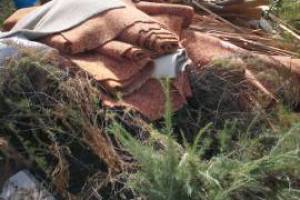 Hauling Home Demo Junk Removal - Hauling