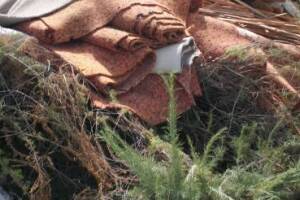 Hauling Home Demo Junk Removal - Hauling