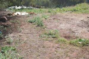 Hauling Home Demo Junk Removal - Hauling