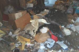 Hauling Home Hoarding Junk Demo - Hauling