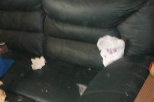 Hauling Home Hoarding Junk Demo - Hauling