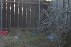 Hauling Home Hoarding Junk Demo - Hauling