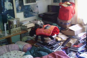 Hauling Home Hoarding Junk Demo - Hauling