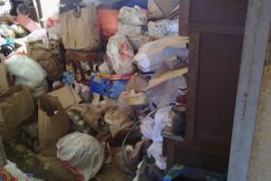 Hauling Home Hoarding Junk Demo - Hauling