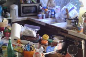 Hauling Home Hoarding Junk Demo - Hauling