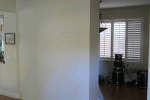 Hauling Home Interior Wall Demo - Hauling