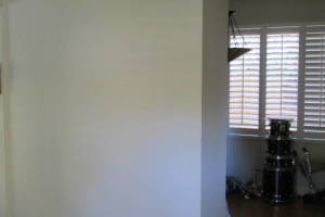 Hauling Home Interior Wall Demo - Hauling