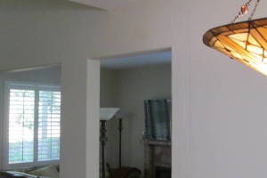 Hauling Home Interior Wall Demo - Hauling