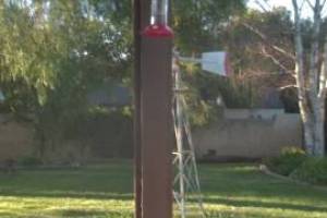 Hauling Home Patio Cover Demo - Hauling