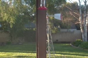 Hauling Home Patio Cover Demo - Hauling