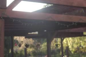 Hauling Home Patio Cover Demo - Hauling