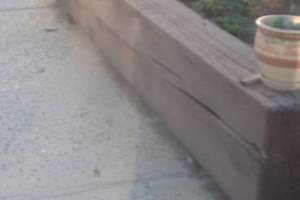 Hauling Home Patio Cover Demo - Hauling