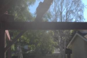 Hauling Home Patio Cover Demo - Hauling