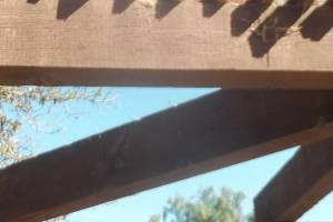 Hauling Home Patio Cover Demo - Hauling