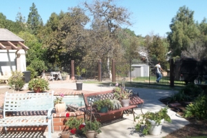 Hauling Home Patio Cover Demo - Hauling