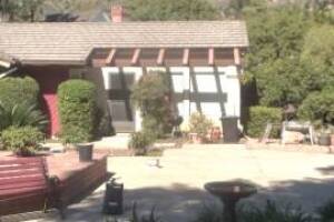 Hauling Home Patio Cover Demo - Hauling