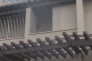 Hauling Home Trellis Demo Driveway - Hauling