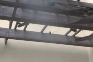 Hauling Home Trellis Demo Driveway - Hauling