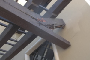 Hauling Home Trellis Demo Driveway - Hauling