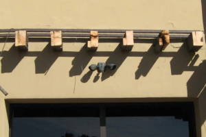 Hauling Home Trellis Demo Driveway - Hauling