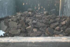 Hauling Home Yard Demo Debris - Hauling