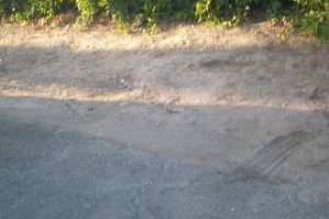 Hauling Home Yard Demo Debris - Hauling