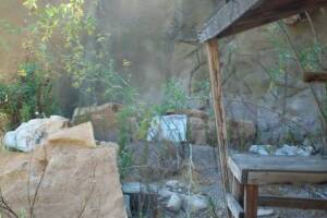 Hauling Home Yard Property Demo - Hauling