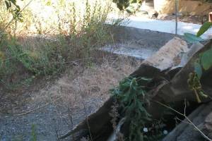 Hauling Home Yard Property Demo - Hauling
