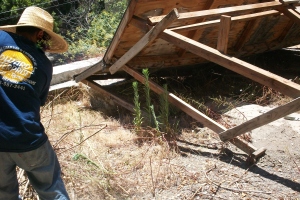 Hauling Home Yard Property Demo - Hauling