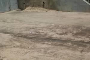 Hauling Home Yard Property Demo - Hauling