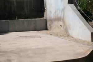 Hauling Home Yard Property Demo - Hauling