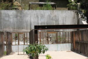 Hauling Home Yard Property Demo - Hauling