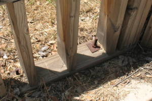 Hauling Home Yard Property Demo - Hauling