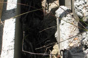 Hauling Home Yard Property Demo - Hauling