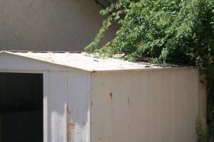 Hauling Home Yard Shed Demo - Hauling