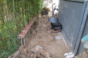Hauling Yard Waste Bamboo Removal - Hauling
