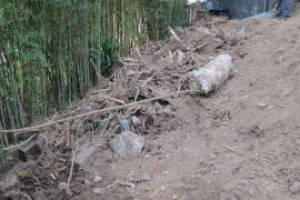 Hauling Yard Waste Bamboo Removal - Hauling