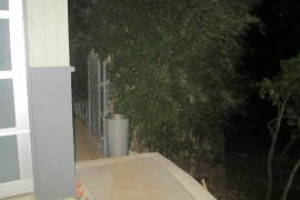 Hauling Yard Waste Bamboo Removal - Hauling