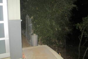 Hauling Yard Waste Bamboo Removal - Hauling