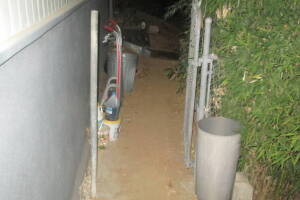 Hauling Yard Waste Bamboo Removal - Hauling