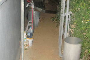 Hauling Yard Waste Bamboo Removal - Hauling