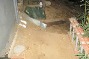Hauling Yard Waste Bamboo Removal - Hauling
