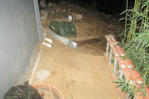 Hauling Yard Waste Bamboo Removal - Hauling