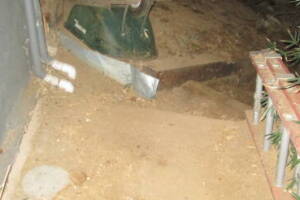 Hauling Yard Waste Bamboo Removal - Hauling