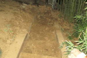 Hauling Yard Waste Bamboo Removal - Hauling